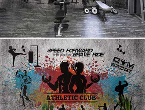 蛋白質(zhì)的適量與過量